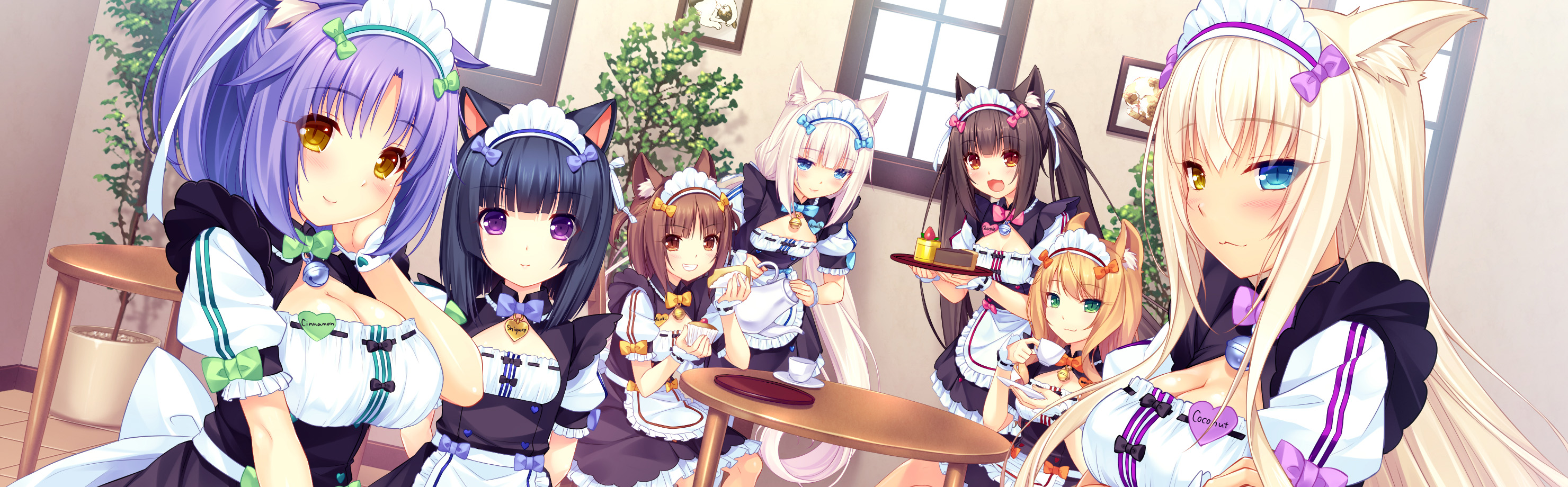 Скачать Кошачий рай обои HD Скачать Кошачий рай обои HD